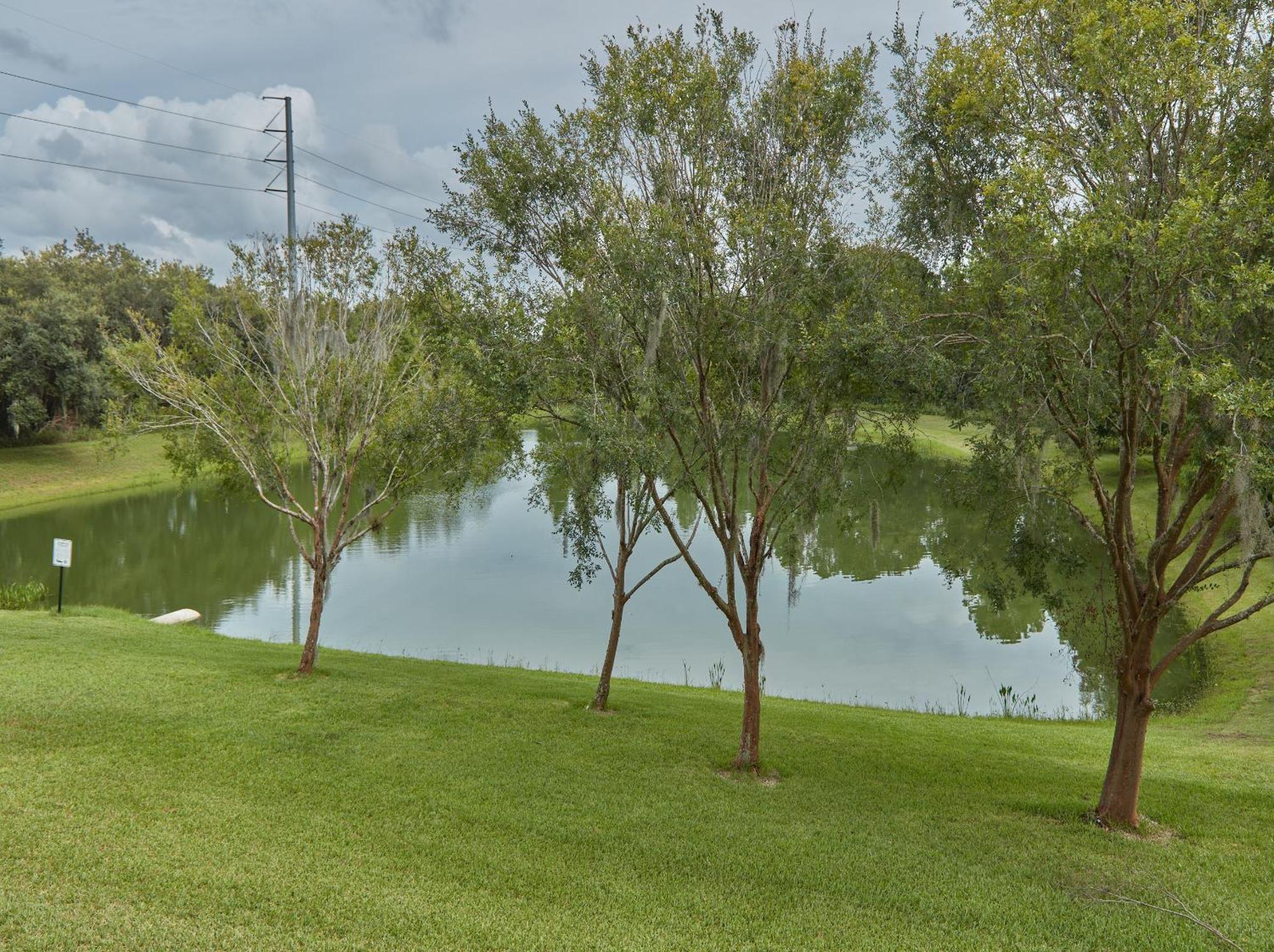 Spring Retreat Near Disney, Perfect For Families Kissimmee Habitación foto